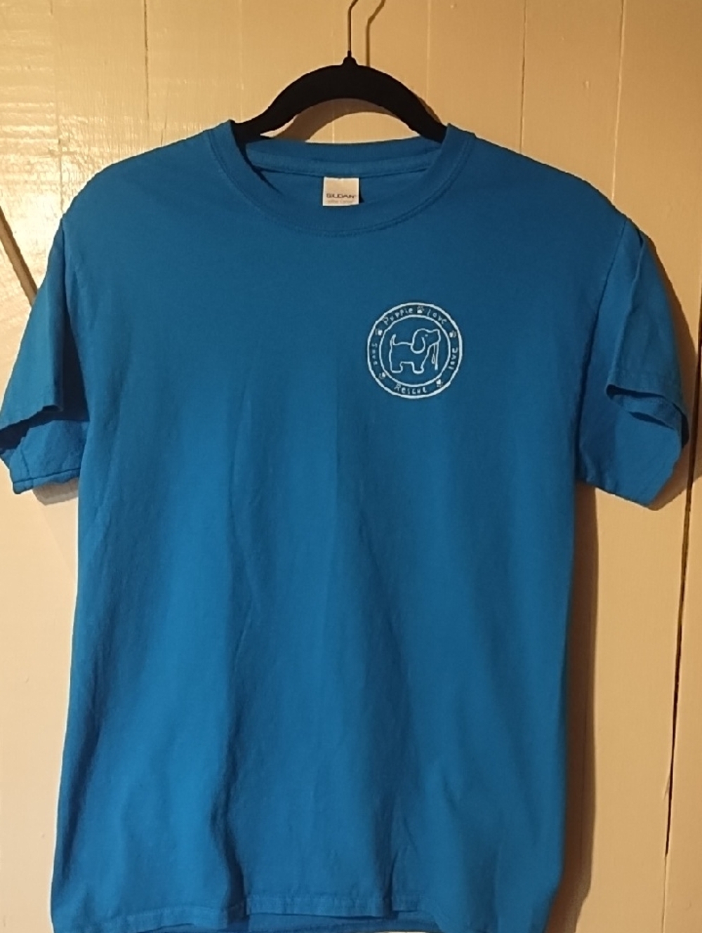 Gildan Teal Blue Short-Sleeve Graphic Tee